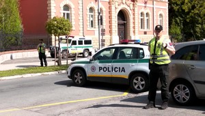 Afgáncom, obvineným z prípravy vraždy pornoherečky, hrozia vysoké tresty