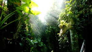 Zmiznú lesy - zmizne voda. Ako bojovať proti extrémnemu suchu?