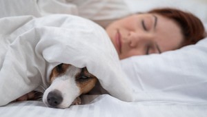 Je vhodné, aby pes spal vo vašej posteli? Odpoveď odborníkov vás poriadne prekvapí!
