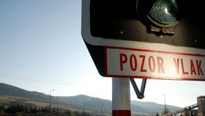 Pri kontrole vlakov policajti natrafili na cestujúceho s podozrivou látkou