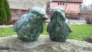 Kuriózna krádež zo severu Slovenska: Zmizol vzácny vták z vojenského bunkra