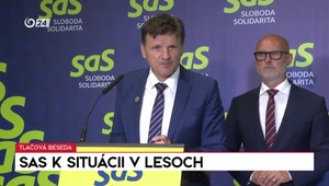 Tlačová beseda SaS o situácii v slovenských lesoch