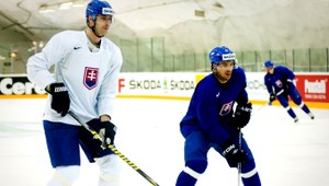 Proti Kanade v bránke Hamerlík, všetci hráči sú v poriadku