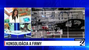 Ekonomika 24: Konsolidácia a firmy