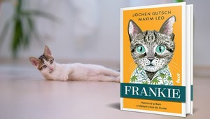 Prichádza Frankie: Zábavný a dojímavý príbeh nezbedného kocúra