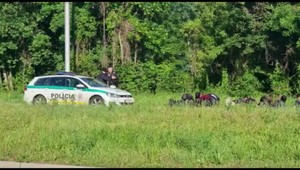 V Petržalke chytili 26 Afgancov. Policajti museli použiť donucovacie prostriedky