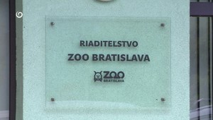 ZOO prišli pre slintačku o tržby, na odškodnenie stále čakajú