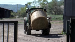 Rodov zamestnanec ešte stále nedostal ani cent z omeškanej výplaty