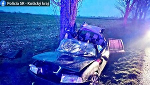 Tragická nehoda na mokrej ceste. Spolujazdec neprežil náraz do stromu
