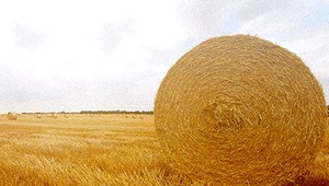 Spreneveril desiatky miliónov