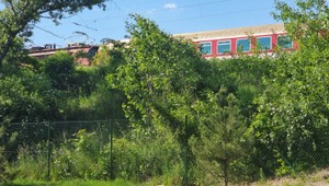 Tragédia v Devínskej Novej Vsi: Dve dievčatá zrazil vlak. Jedno na mieste zomrelo