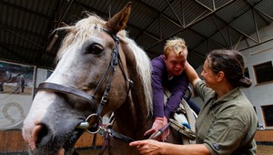 Získajte grant od Tesca, vítaný je každý projekt pre zlepšenie života na Slovensku