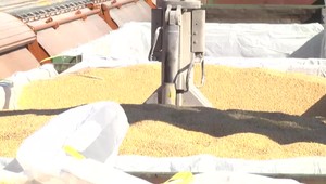 EÚ zakázala dovoz niektorých produktov z Ukrajiny: Týka sa to aj Slovenska