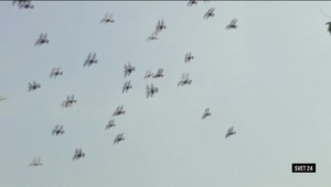 Svet 24 o policajných holuboch, návšteve väzenia a umeleckých nanukoch