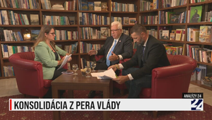 Analýzy 24: Konsolidácia z pera vlády