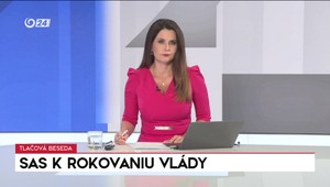 Tlačová beseda SaS k rokovaniu vlády: Nie sme konkurencieschopní