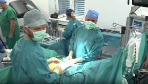 Nádej na liečbu rakoviny pečene:  Českí vedci u myší zablokovali bielkovinu, ktorá pomáha v šírení choroby