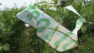 VIDEO: Soničku (†7) aj s bračekom (6) prešiel traktor