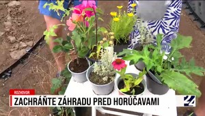 Rozhovor o udržiavaní záhrady v lete