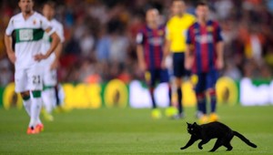 Čierna mačka na ihrisku v Barcelone nie je novinkou
