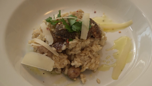 Hlavné jedlo: Hubky dupky