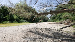 Horúčavy, sucho aj požiare. Únia miest vyzýva štát na riešenie klimatickej krízy