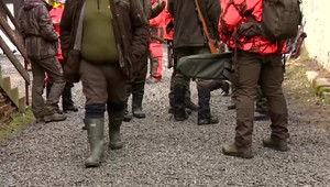 Bratislavské mestské lesy uzatvorili pre verejnosť. Dôvodom bol odstrel diviakov