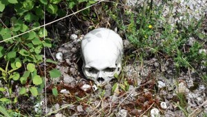 Manželia chceli na záhrade bazén, v zemi objavili lebku