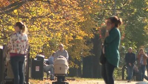 Premenlivé jesenné počasie vplýva na naše zdravie. Lekári radia, ako svoju imunitu posilniť