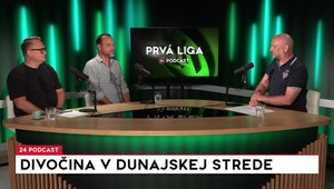 Prvá liga: Divočina v Dunajskej strede
