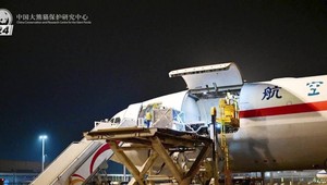 Štúdio 24: Japonská železná lady posilnila