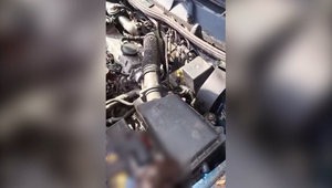 Mačiatko čakalo hodiny na pomoc pod kapotou. Tá však prišla neskoro