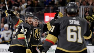 Chlapík cez prestávku vyhral na hokeji 30 tisíc dolárov