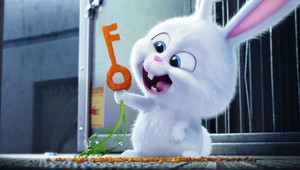 Tieto informácie ukrýva rozprávka Tajný život maznáčikov! Pozrite si aj celkom nový trailer k jej pokračovaniu!