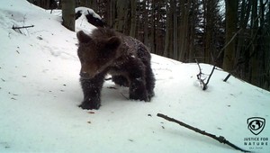 Organizácia Prales deťom: Ochrana prírody musí byť na prvom mieste