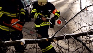 Husté sneženie, popadané stromy a výpadky energie. V Česku bojujú s kalamitou