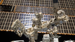 FOTO DŇA: Dexter nastupuje do práce