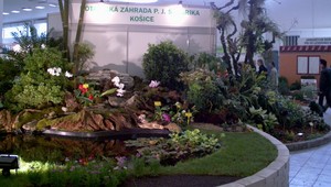 Plynová kríza môže spôsobiť úhyn vzácnych rastlín