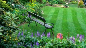 Kosenie zabíja hmyz, ten je podstatný pre vtáctvo. Správne kosenie je mozaikové