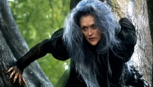 K televíznym obrazovkám tento rok priláka rozprávkový muzikál Príbehy z lesov