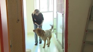 Malý Méďa mal v tele broky a bol dobitý. Prišiel o labku