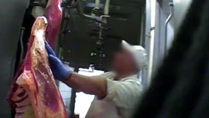 Skončila sa kontrola poľského mäsa, zostáva čakať