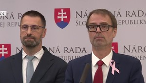 Tlačová beseda strany SaS: Výzva premiérovi a ministrovi