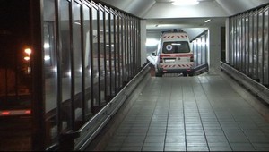 Do basy nepôjdem! Zakričal a bodol sa do krku