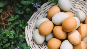 Nízkokalorické, zdravé pre srdce, mozog aj pre oči: Vajíčka sú superpotravina