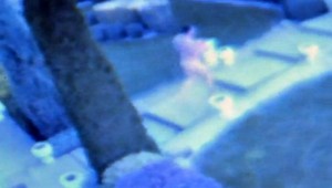 Norbert (35) behal nahý po bytovke, zaútočil dverami na policajta