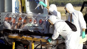 Španiel s ebolou dostal experimentálny liek