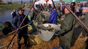 Slováci prestali jesť ryby. Pellegrini nechce zákaz predaja živých kaprov