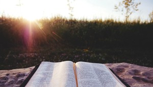 Slnko je tu a s ním prichádza leňošenie na záhrade: Akú knižku si so sebou vezmete? Máme pre vás zopár tipov!