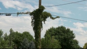 Vo viniči sa mu zjavil Ježiš Kristus!